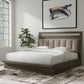 Pure Modern Bedroom - Platform Bed