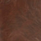 Sidewinder Accent Chair