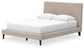 Cielden Queen Upholstered Bed with Roll Slats, Dresser and Mirror