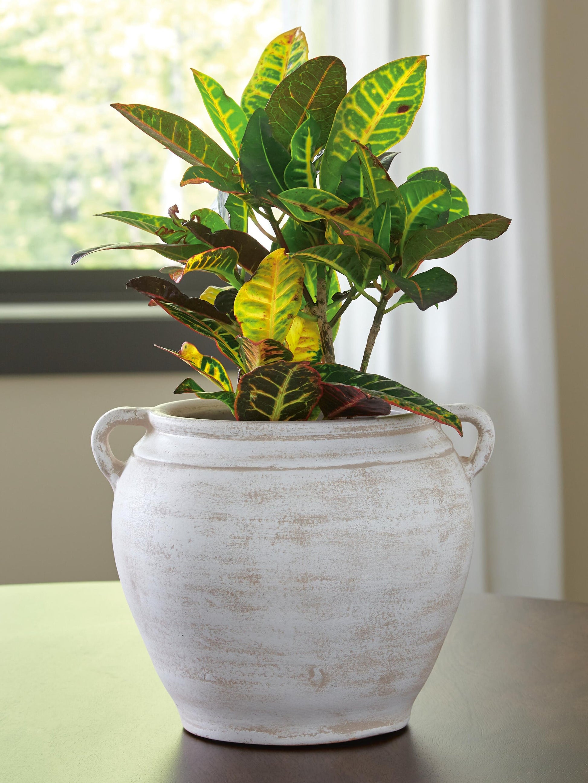 A2000787