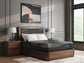 Millennium 2.0 Foam 12 Inch Queen Mattress