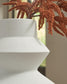 Naveen Vase
