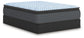 Destin Cove PT California King Mattress