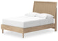 Cielden Full Panel Bed with Mirrored Dresser