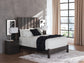 Parlayon Queen Panel Bed, Dresser and Mirror